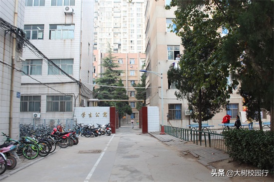 《大树校园行》之河南工程学院（桐柏路校区）