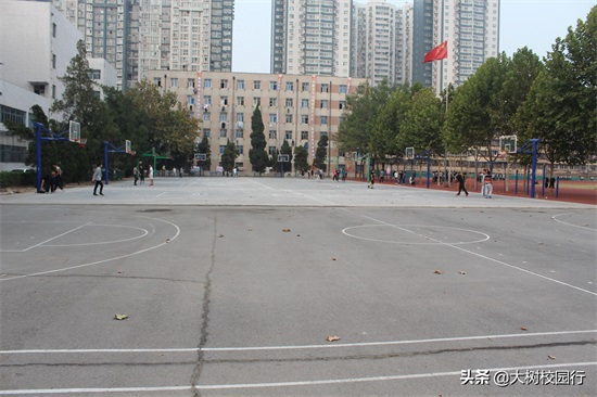 《大树校园行》之河南工程学院（桐柏路校区）