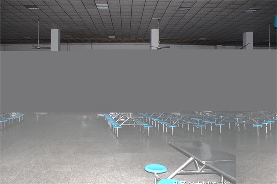 《大树校园行》之河南工程学院（桐柏路校区）