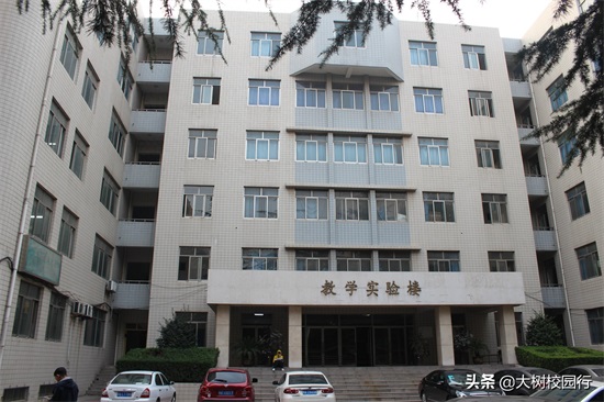 《大树校园行》之河南工程学院（桐柏路校区）