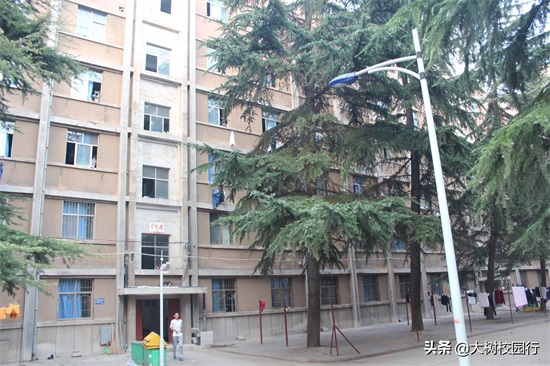 《大树校园行》之河南工程学院（桐柏路校区）