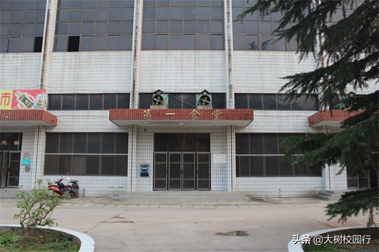 《大树校园行》之河南工程学院（桐柏路校区）