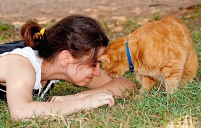 ​这11种迹象表明猫喜欢你
