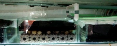 ​鱼缸小上滤制作完毕，实用效果还是不错的！