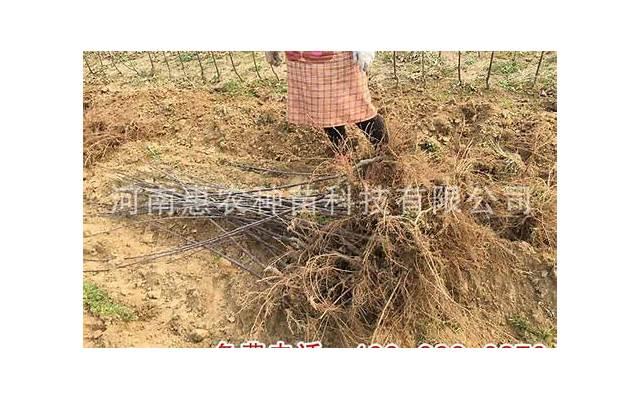 老婆出轨，如何挽回感情？