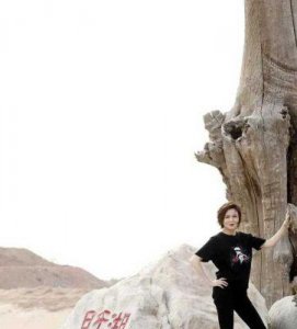 ​关之琳：冻龄女神的奢华生活与近日敦煌旅行揭秘