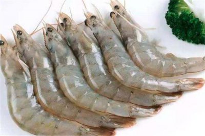 ​基围虾适合减肥吃吗 基围虾一次吃多少为好