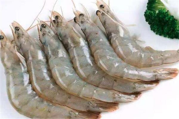 基围虾适合减肥吃吗 基围虾一次吃多少为好