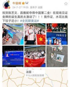 ​“跳水冠军”陈若琳否认与牛骏峰恋情：单身，无需提及！