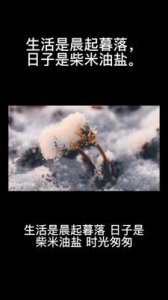 ​翟子路：用心感受生活与表演的真实价值