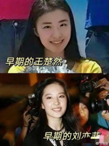 ​王楚然频频登上热搜！网友惊呼：她和刘亦菲的相似度简直惊人！