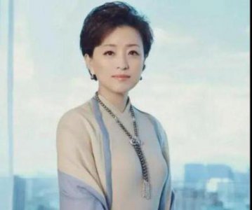 ​杨澜：从职场精英到慈善先锋，她的传奇人生与女性力量