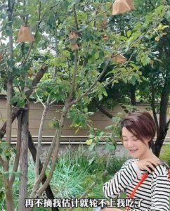 ​车晓分享日常生活Vlog：从苹果派到单身生活的精彩瞬间
