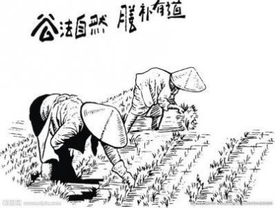 ​情侣插秧姿势参考绘画：热门话题背后的浪漫与勤劳