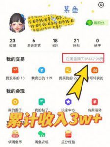 ​王小国揭示昔日辉煌：曾一日收入数十万个W