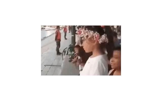 发现一个女孩子好聪明 却不追求你的女孩子