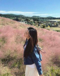​TVB视帝带妻子和岳母小姨子一起赴韩游，37岁妻子晒出美照，妹妹也秀出好身材