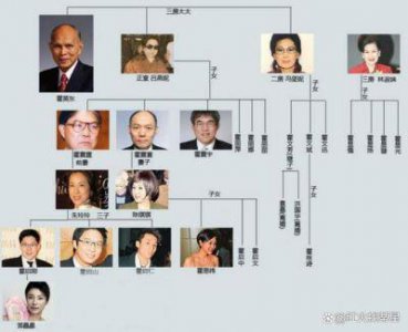 ​探讨港澳豪门排名：霍家资产状况及霍启刚家族地位