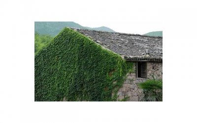 ​云居山好玩吗