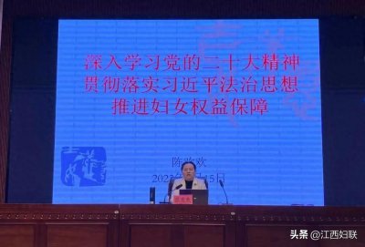​执委在行动丨陈欢欢：做妇女儿童权益维护的“宣传者”