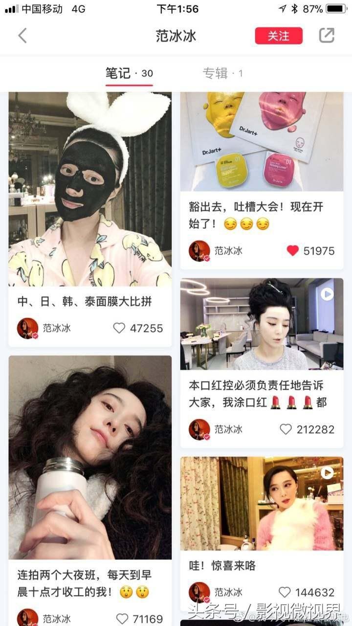 范冰冰犯了什么错(范冰冰犯了什么大错)  第2张