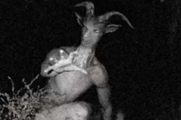山羊人是什么（山羊人是美国恐怖传说中的特别生物）(1)_