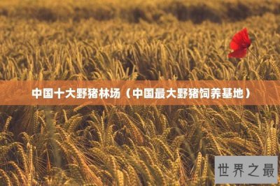 ​中国十大野猪林场（中国最大野猪饲养基地）