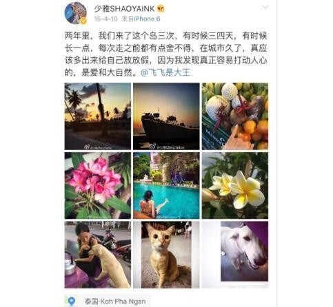 马思纯回应分手（马思纯分手不回踩中国好前任）