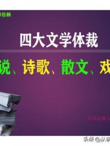 ​文学体裁(文学体裁有哪些)