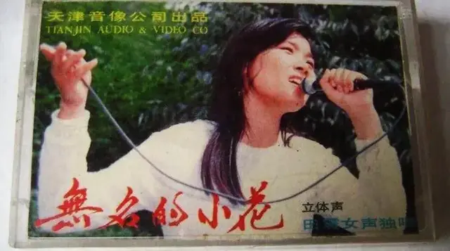 田震铿锵玫瑰原唱(田震铿锵玫瑰翻唱) 田震 第4张