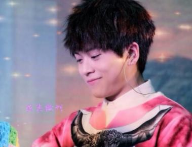 武艺母亲是干什么的 武艺妈妈为什么那么有钱
