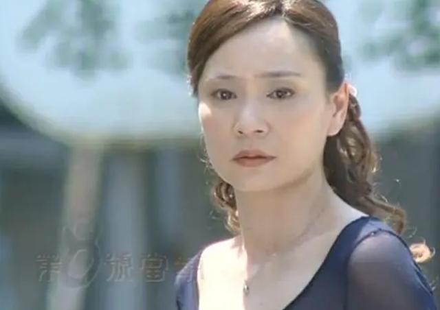 杜德伟演的第七号当铺（第8号当铺主演现状）(9)