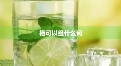​栖可以组什么词(鸦可以组什么词)