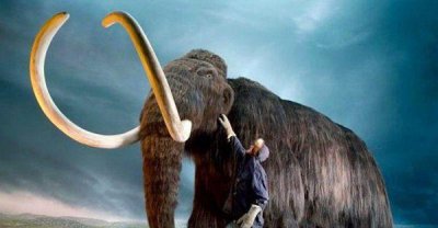 ​盘点科学家想要复活的10种动物，渡渡鸟上榜！