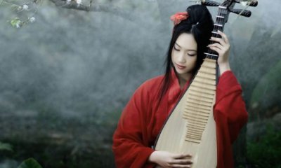 ​司马青衫形容什么,成语司马青衫是形容什么