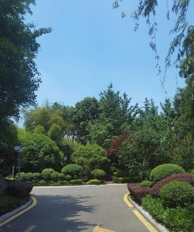 成都为什么叫锦城，成都市的七区十二县分别指的是什么？图13