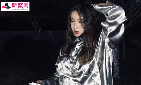 锤娜丽莎原来照片 锤娜丽莎为什么这么胖了