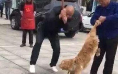 ​张惠妹和王力宏什么关系（张惠妹和王力宏怎么了）