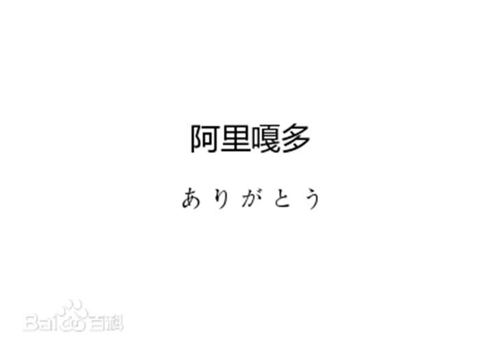 阿里嘎多什么意思
