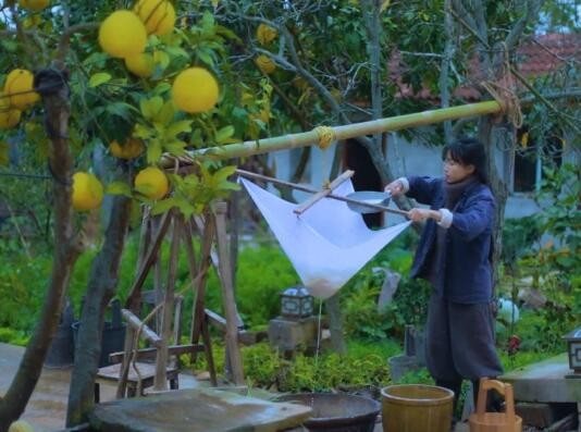 李子柒是哪里的人