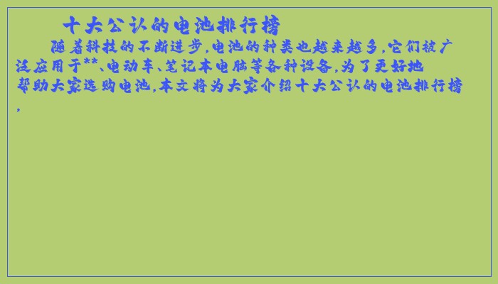 十大公认的电池排行榜