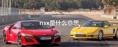 ​nsx是什么意思