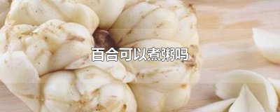 ​百合可以煮粥吗