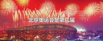 ​北京奥运会是第几届