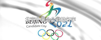 ​北京冬奥会会徽的名字