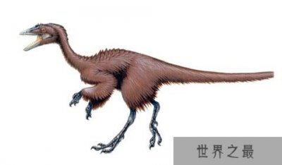 ​历史上最小的恐龙