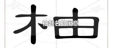 ​柚起名的寓意