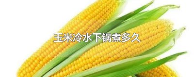 ​玉米冷水下锅煮多久