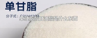 ​单硬脂酸甘油酯是什么东西