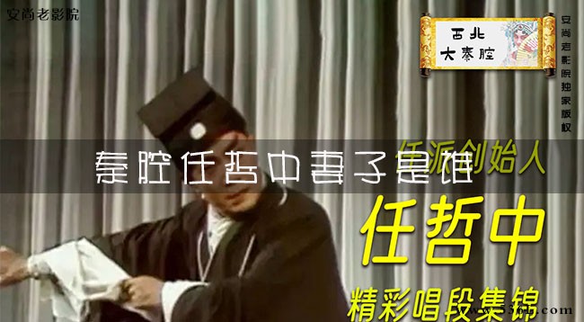 秦腔任哲中妻子是谁(秦腔任哲中的经典唱段)